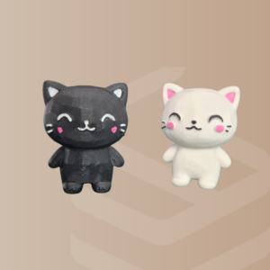 Brosa magnetica Pisicuta