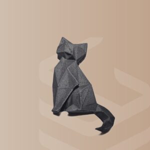 Brosa magnetica Pisica